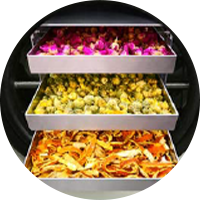 c51d004ea10d3fa415935ed9960375d