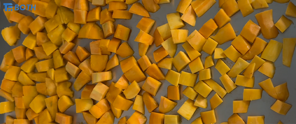 ניתוח מקיף של תהליך ייבוש בהקפאה של מנגו PFD-2001