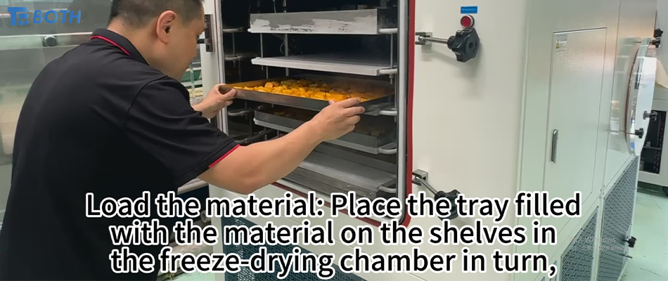 ניתוח מקיף של תהליך ייבוש בהקפאה של מנגו PFD-2002