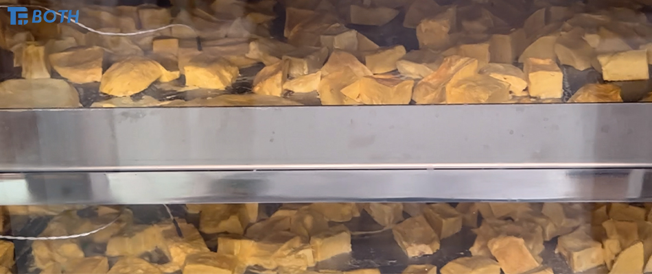 ניתוח מקיף של תהליך ייבוש בהקפאה של מנגו PFD-2003