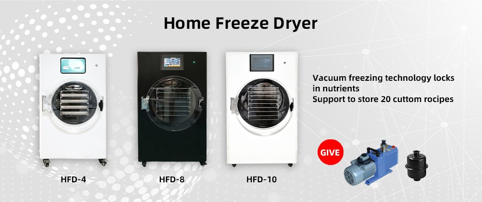 Freeze Dryer