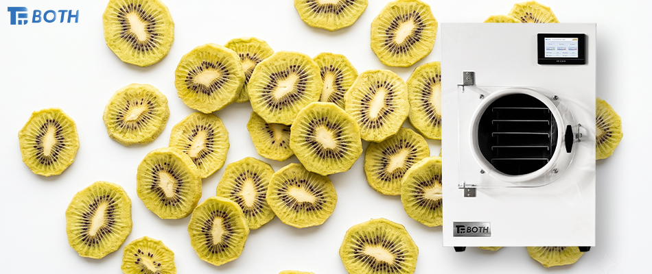 Frozen-dried kiwifruit