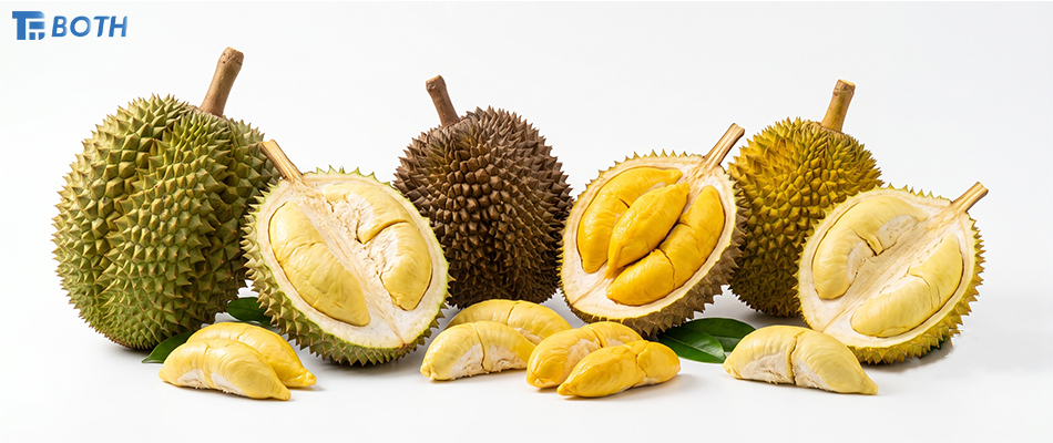 Fresh durian